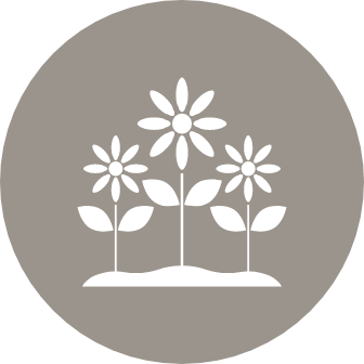 Unwind on one of the outdoor hammocks
